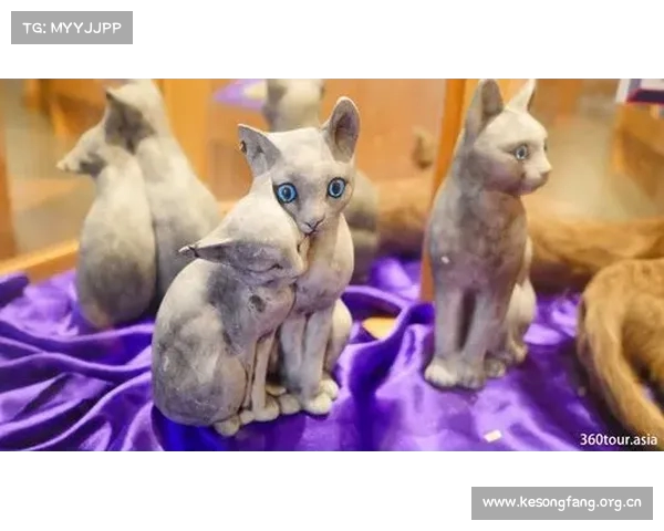 探索猫咪的奇妙世界 猫咪博物馆带你走进猫的艺术与文化殿堂 探索猫咪的奇妙世界 猫咪博物馆带你走进猫的艺术与文化殿堂
